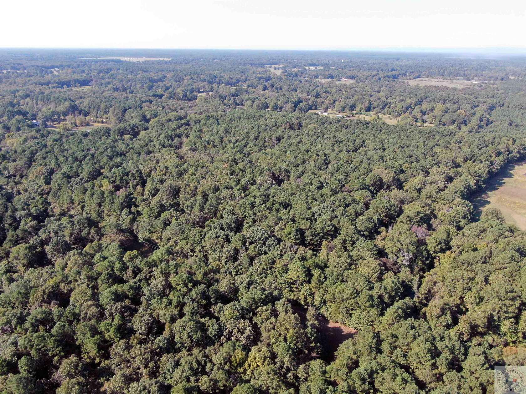 29.68 Acres of Land for Sale in Ashdown, Arkansas