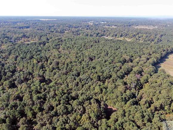 29.68 Acres of Land for Sale in Ashdown, Arkansas