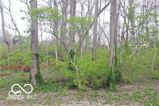 0.29 Acres of Residential Land for Sale in Indianapolis, Indiana