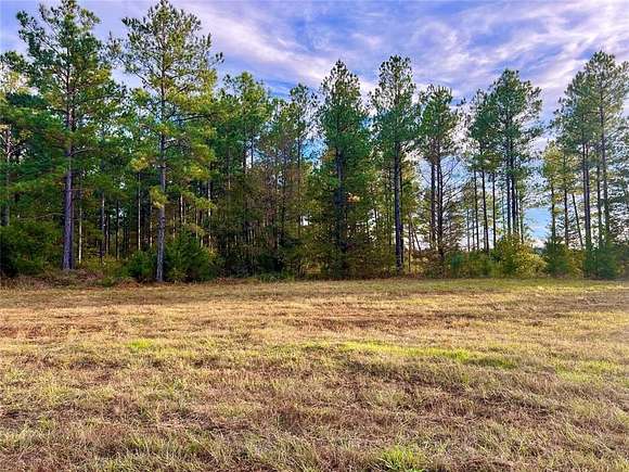 200.21 Acres of Recreational Land for Sale in Avinger, Texas