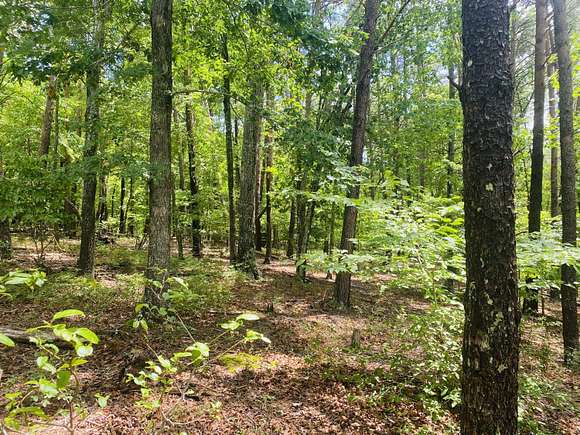 1.09 Acres of Land for Sale in Pittsville, Virginia