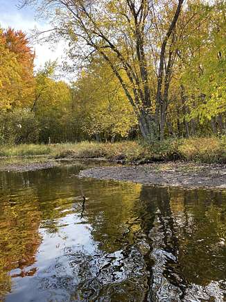 40 Acres of Recreational Land for Sale in Alpena, Michigan