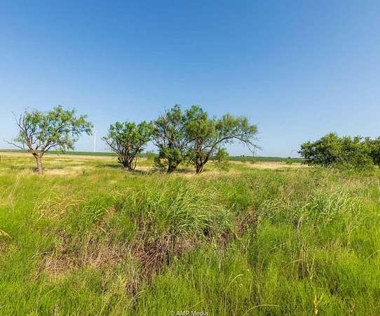 10 Acres of Recreational Land for Sale in Fluvanna, Texas
