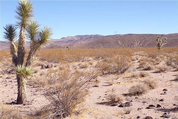 4.7 Acres of Agricultural Land for Sale in White Hills, Arizona