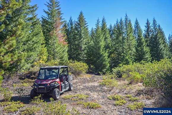 369.77 Acres of Land for Sale in Sweet Home, Oregon