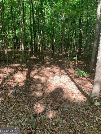 10 Acres of Residential Land for Sale in Alto, Georgia