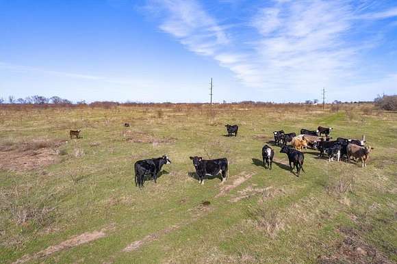 66.83 Acres of Agricultural Land for Sale in Wills Point, Texas