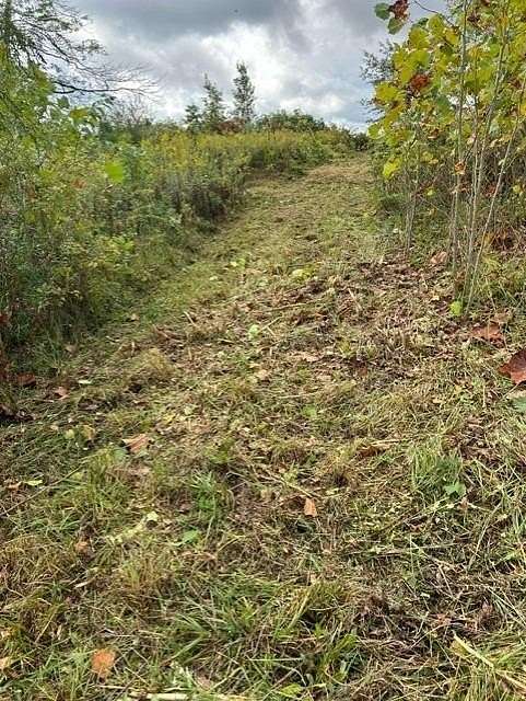 6 Acres of Residential Land for Sale in Dillsboro, Indiana