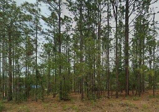 0.23 Acres of Residential Land for Sale in Citrus Springs, Florida