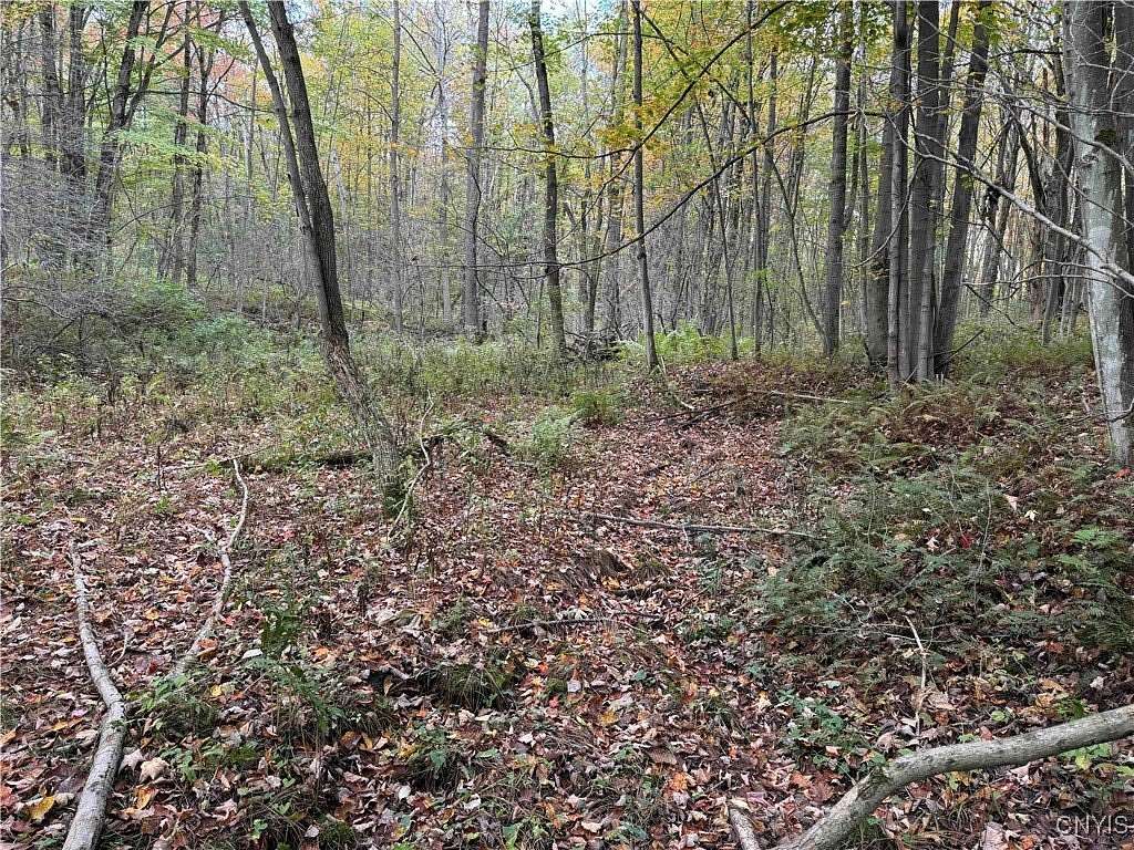 5 Acres of Residential Land for Sale in Gerry, New York