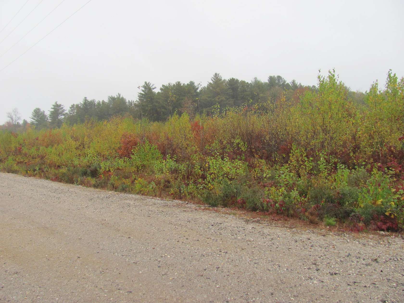 1.88 Acres of Commercial Land for Sale in Oxford, Maine