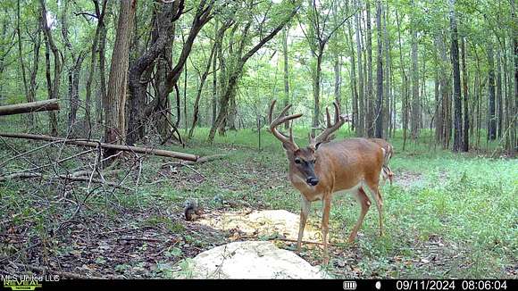 522 Acres of Recreational Land for Sale in Benton, Mississippi