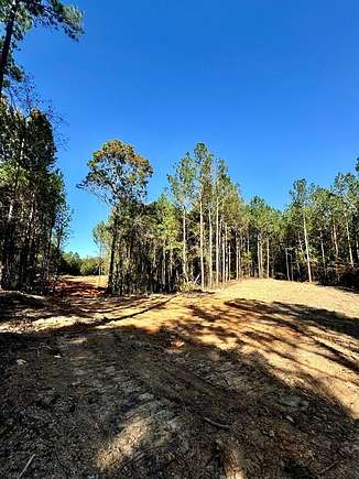 6.5 Acres of Residential Land for Sale in Corinth, Mississippi