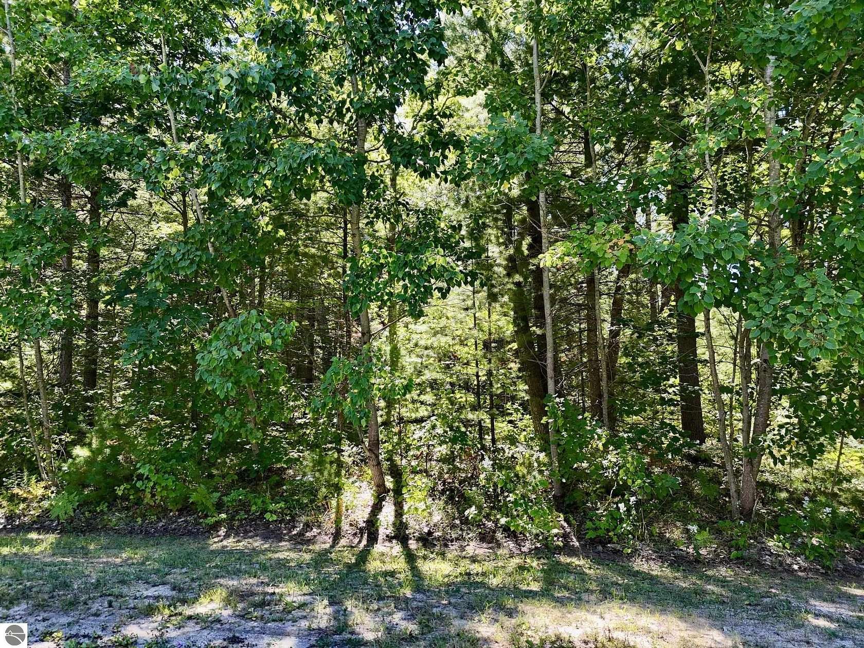 1 Acre of Residential Land for Sale in Kalkaska, Michigan