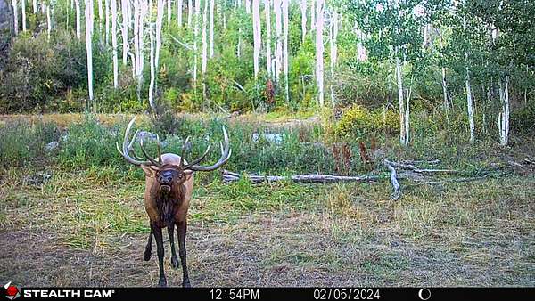 782 Acres of Land for Sale in Montrose, Colorado