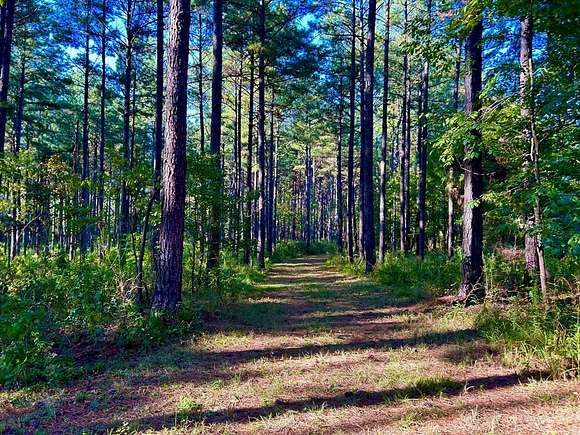 80 Acres of Land for Sale in Smithdale, Mississippi