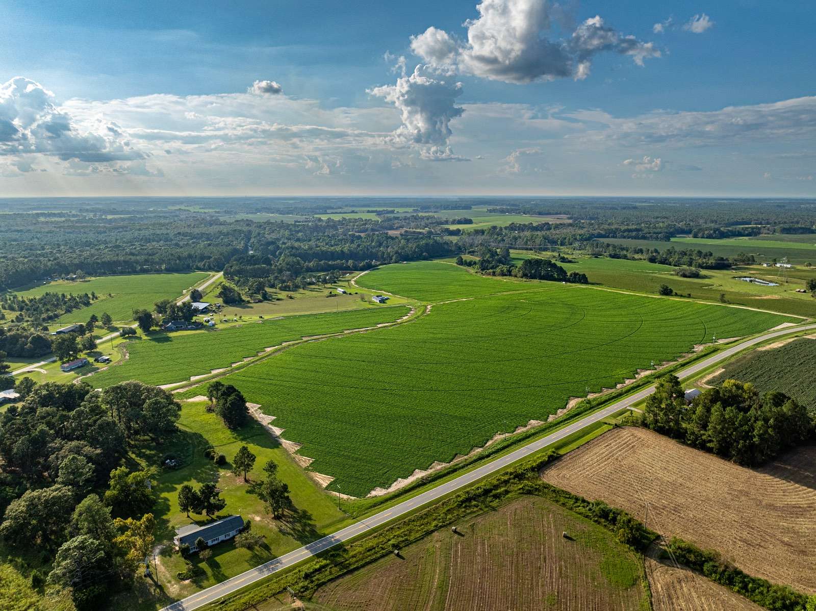 174 Acres of Agricultural Land for Auction in Doerun, Georgia