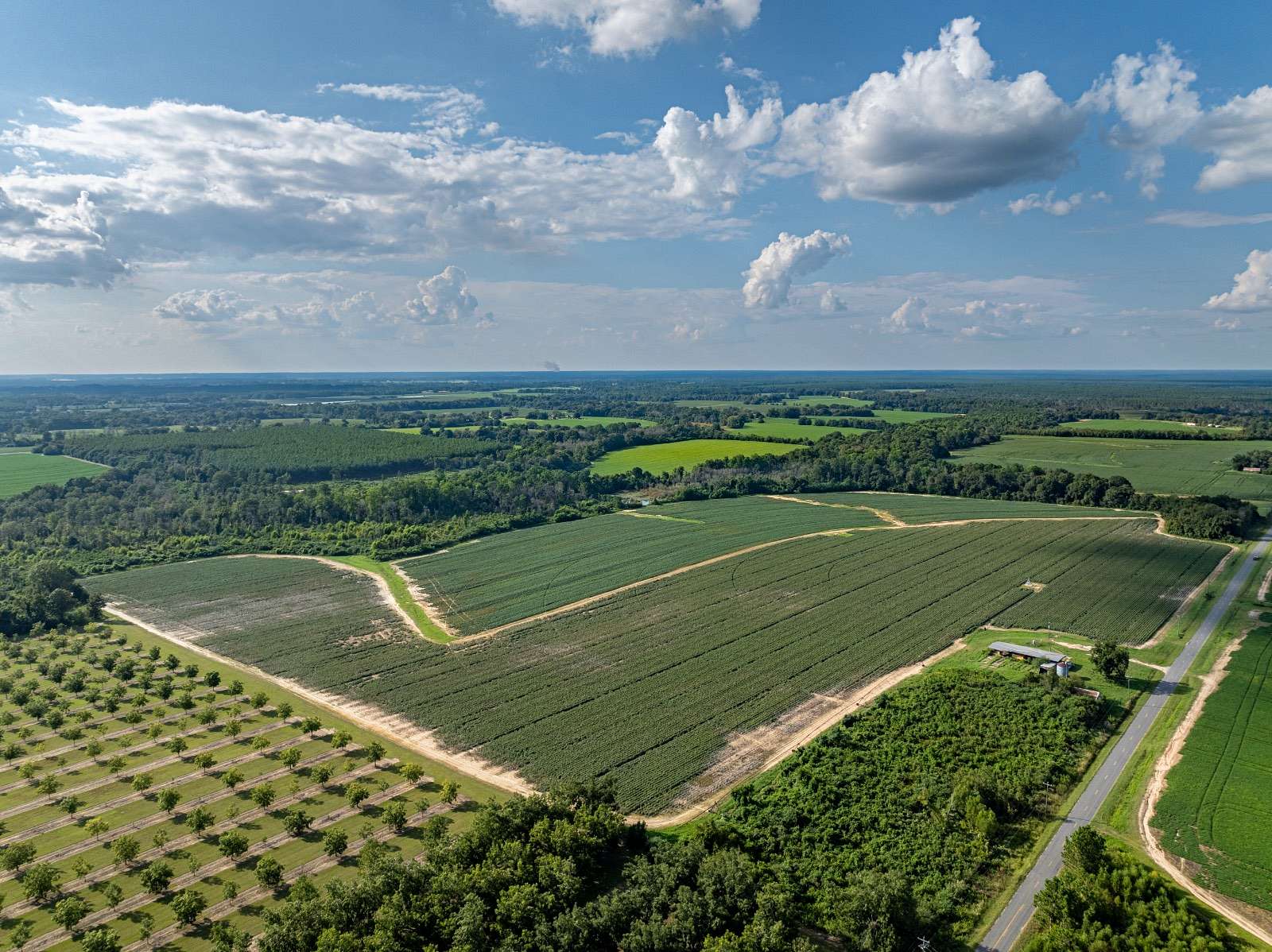 190 Acres of Agricultural Land for Auction in Doerun, Georgia