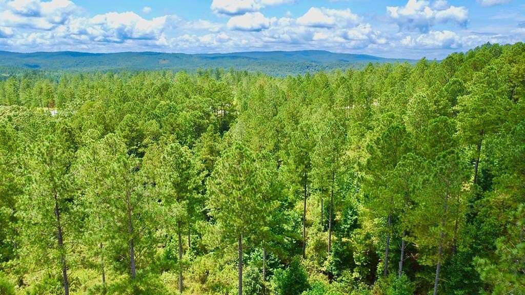 3.3 Acres of Land for Sale in Talking Rock, Georgia