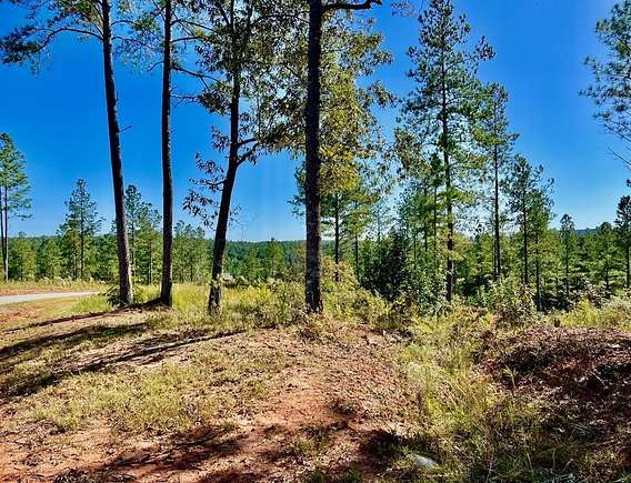 3.31 Acres of Land for Sale in Talking Rock, Georgia