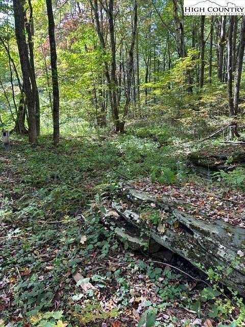 0.118 Acres of Residential Land for Sale in Creston, North Carolina