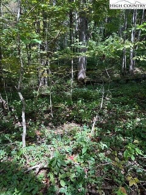 0.12 Acres of Residential Land for Sale in Creston, North Carolina
