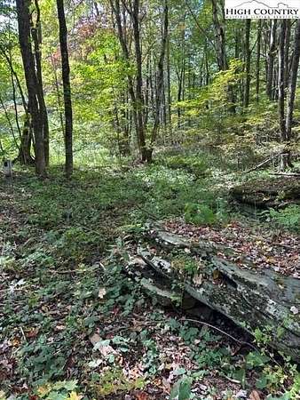 0.12 Acres of Residential Land for Sale in Creston, North Carolina