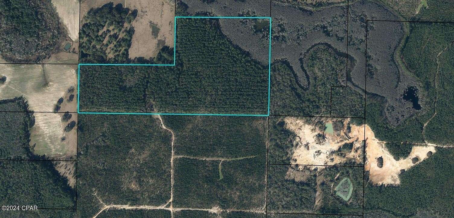 60 Acres of Agricultural Land for Sale in Vernon, Florida