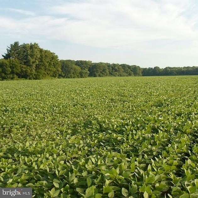 43 Acres of Agricultural Land with Home for Sale in Milford, Virginia