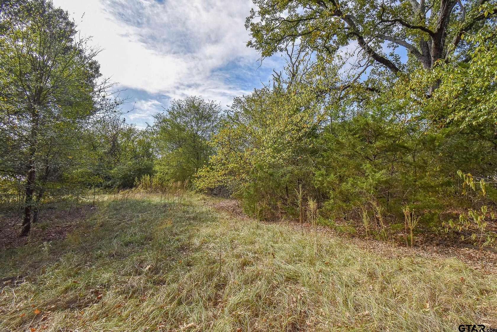 2.07 Acres of Land for Sale in Mineola, Texas