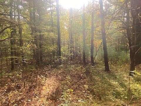 15 Acres of Recreational Land for Sale in Constable, New York