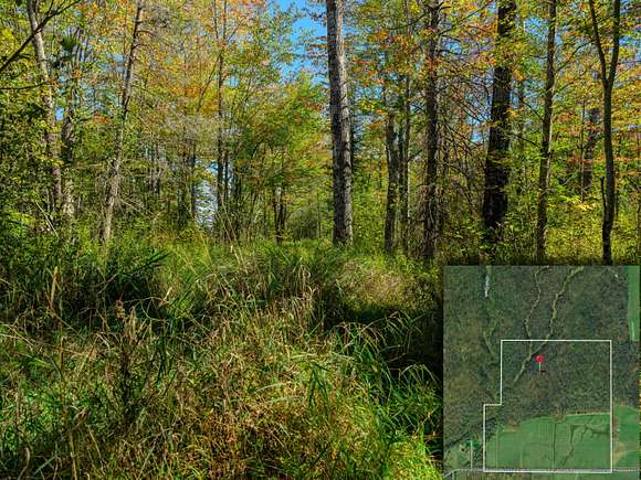 29.6 Acres of Land for Sale in Rudyard, Michigan