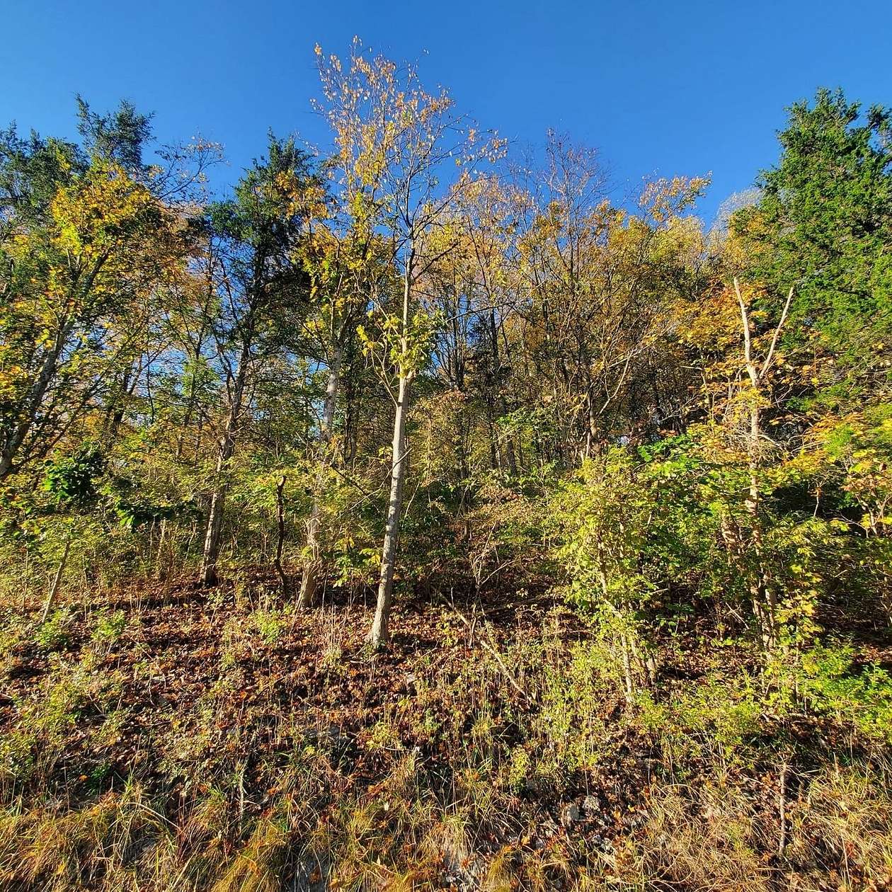 20 Acres of Land for Sale in West Harrison, Indiana