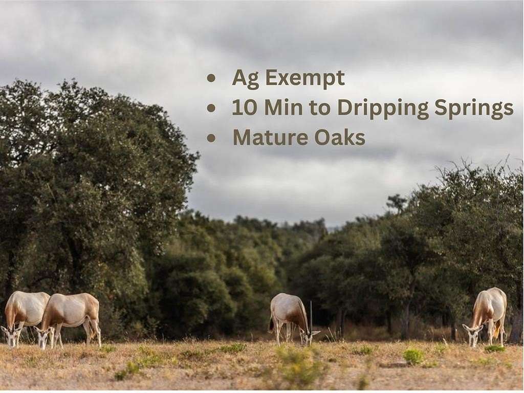 5 Acres of Residential Land for Sale in Johnson City, Texas