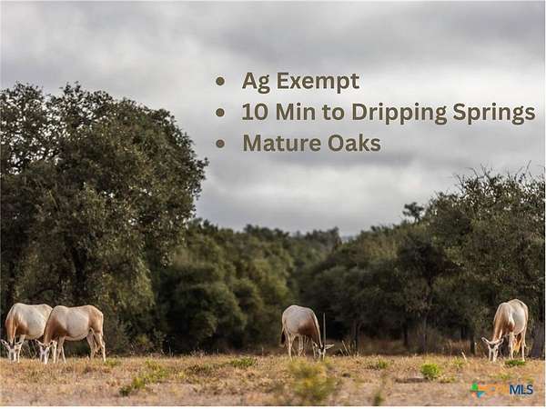 5 Acres of Residential Land for Sale in Johnson City, Texas