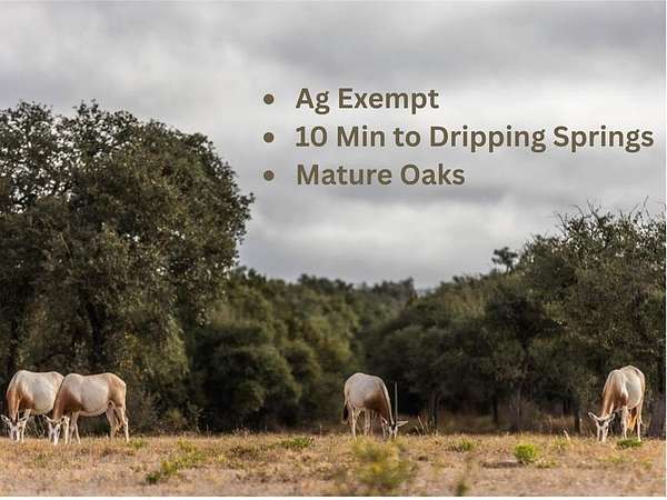 5 Acres of Residential Land for Sale in Johnson City, Texas