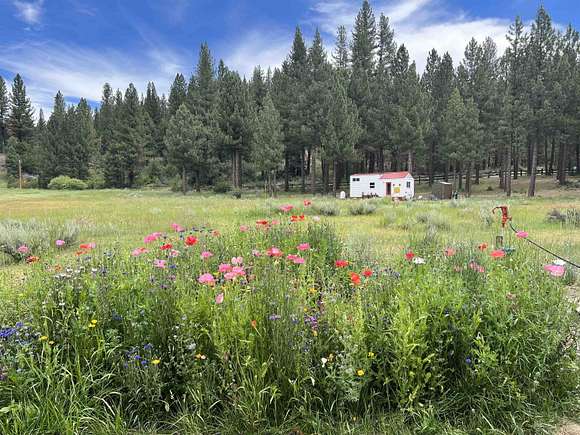 32.13 Acres of Recreational Land with Home for Sale in Blairsden, California