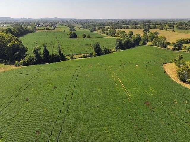 55 Acres of Agricultural Land for Sale in Flemingsburg, Kentucky