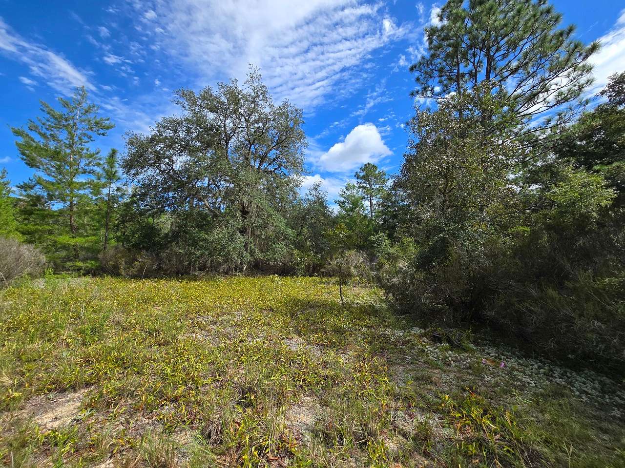 0.72 Acres of Residential Land for Sale in Hawthorne, Florida