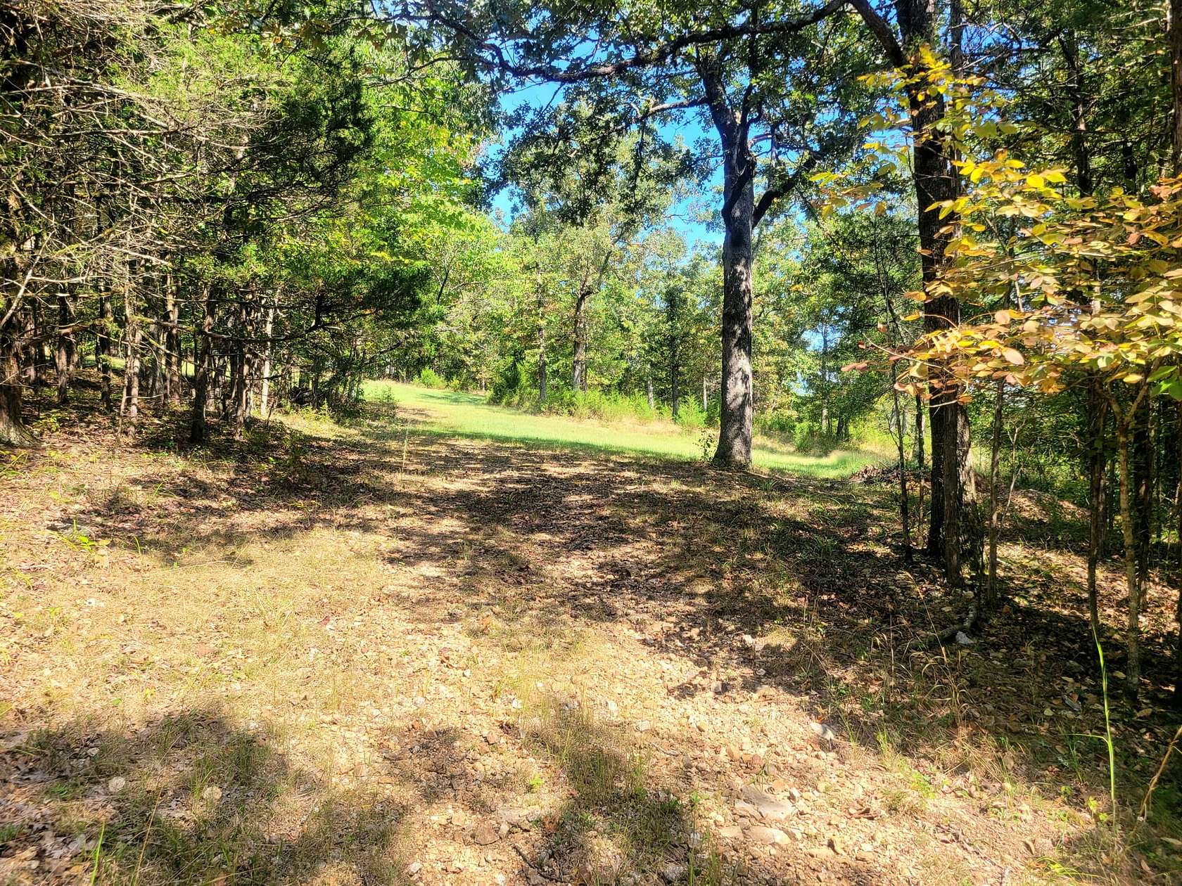 5 Acres of Land for Sale in Saddlebrooke, Missouri