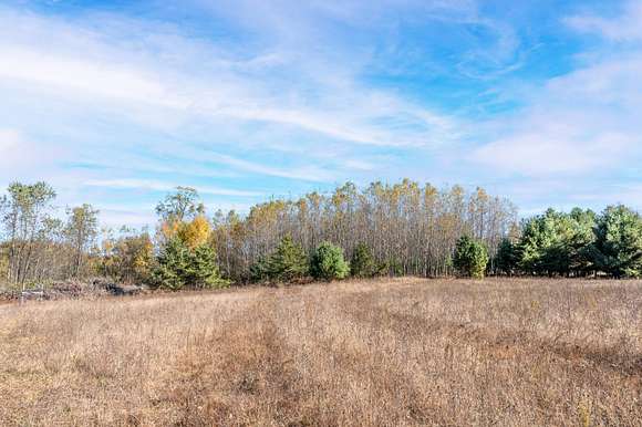 10 Acres of Recreational Land for Sale in Cadillac, Michigan