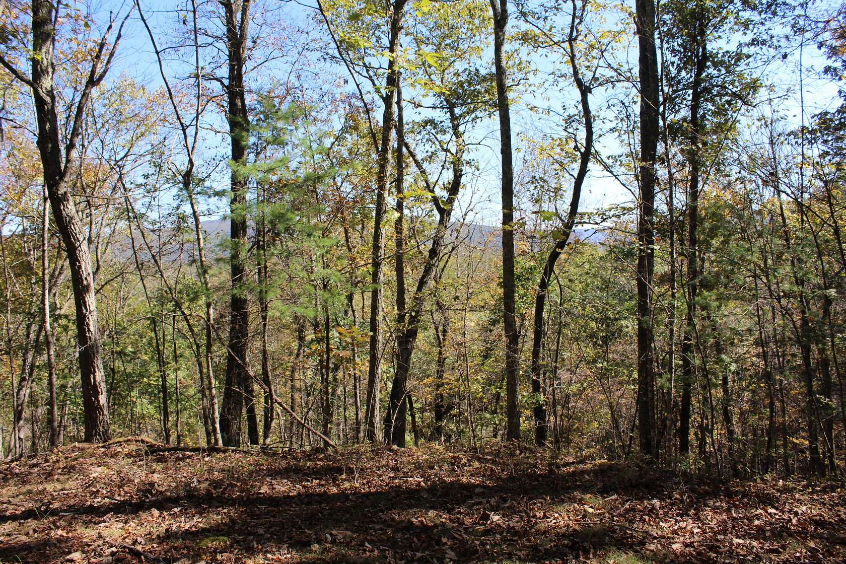 5 Acres of Residential Land for Sale in Lewisburg, West Virginia