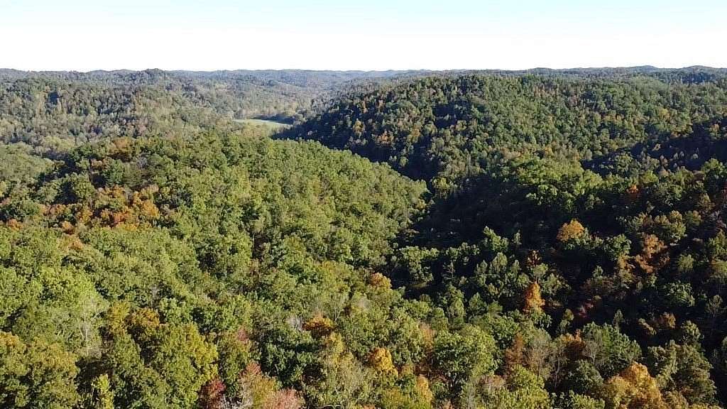 50 Acres of Land for Sale in Blaine, Kentucky