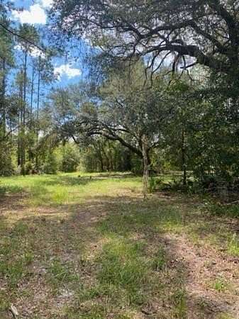 44 Acres of Agricultural Land for Sale in Mayo, Florida