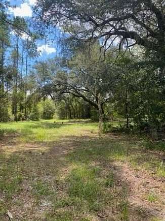 44 Acres of Agricultural Land for Sale in Mayo, Florida