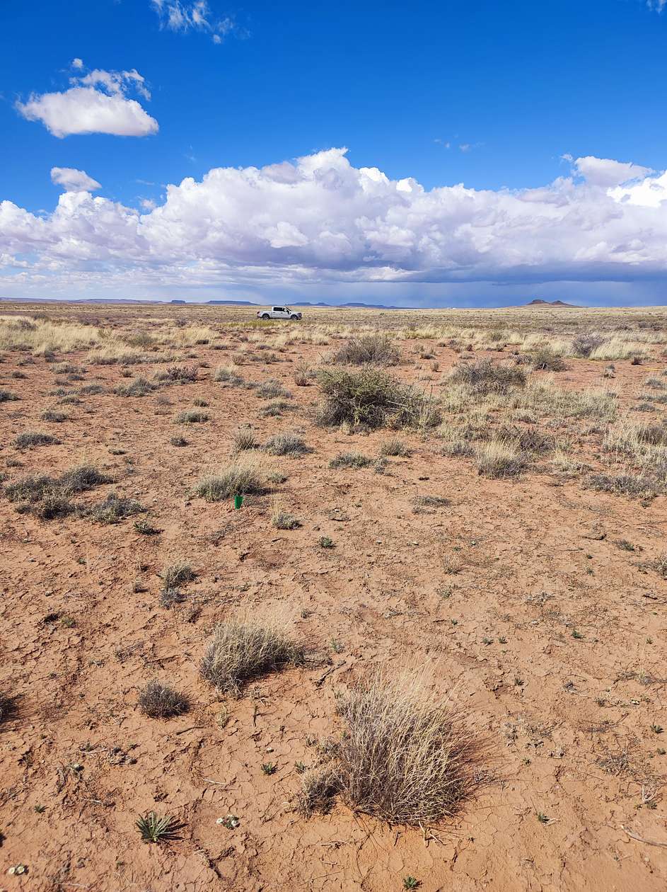 1.33 Acres of Residential Land for Sale in Sun Valley, Arizona