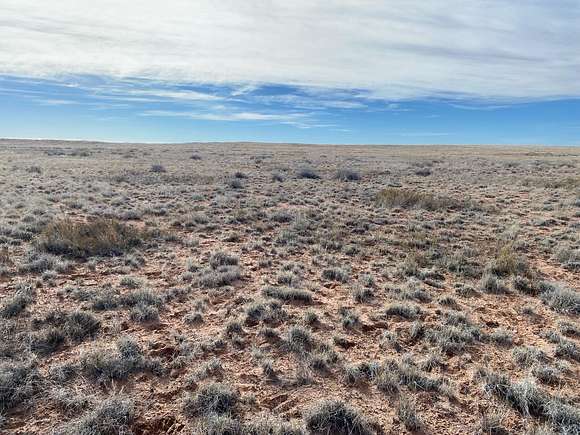 West to the Painted Desert