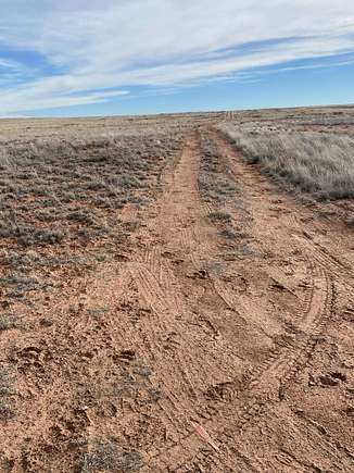 Dirt track from Sun Valley Road