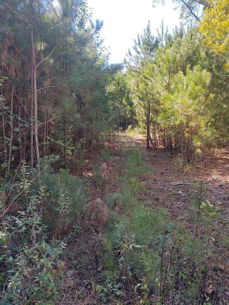 35.16 Acres of Agricultural Land for Sale in Rocky Face, Georgia