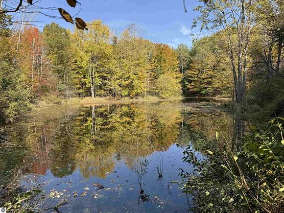 25.39 Acres of Land for Sale in Paris, Michigan